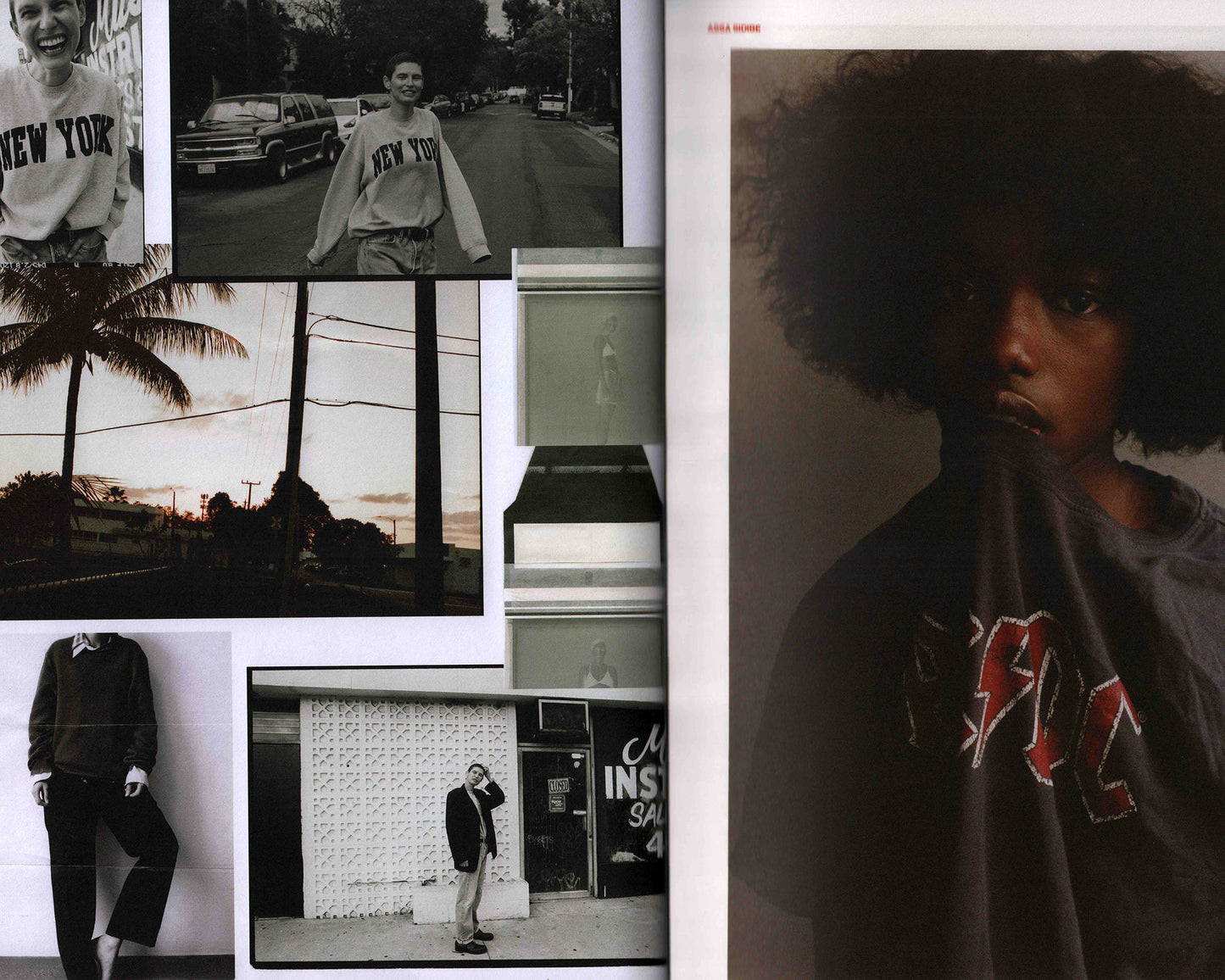 THE SOCIETY ARCHIVE BOOK: DOGMA